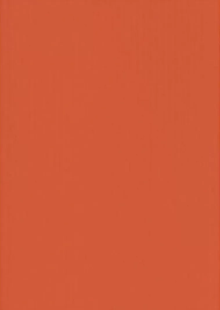 Karto nki A4 220Gsm Kirkkaan Oranssi 5Ark/Pss Clearance