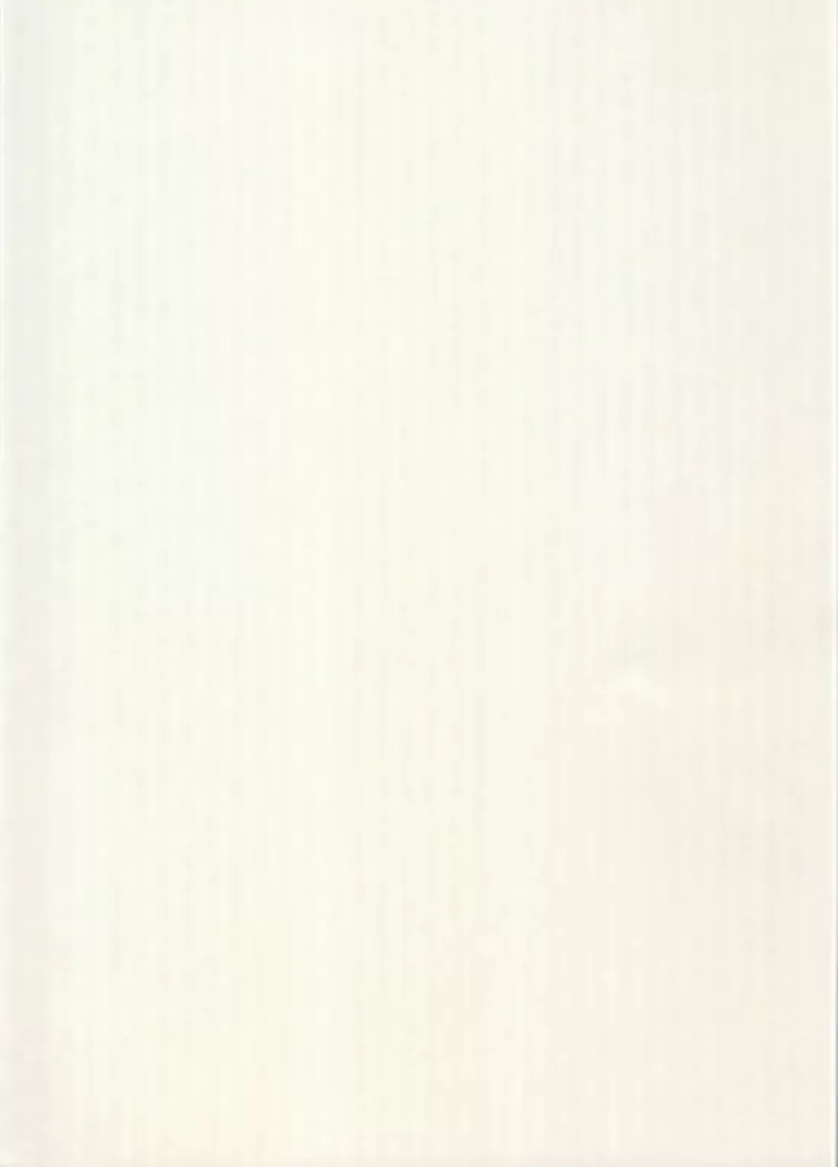 Karto nki Luonnonvalkoinen 50X70Cm 220Gsm 5Ark/Pss Store